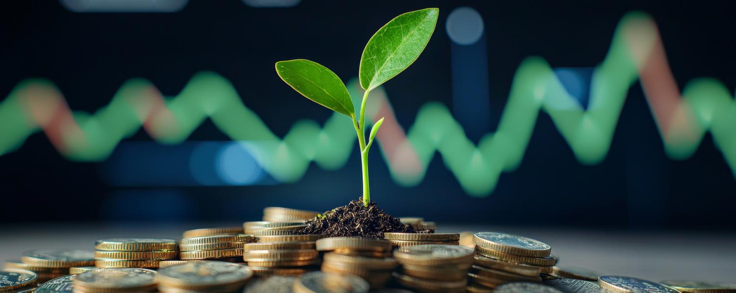 A seedling amidst coins