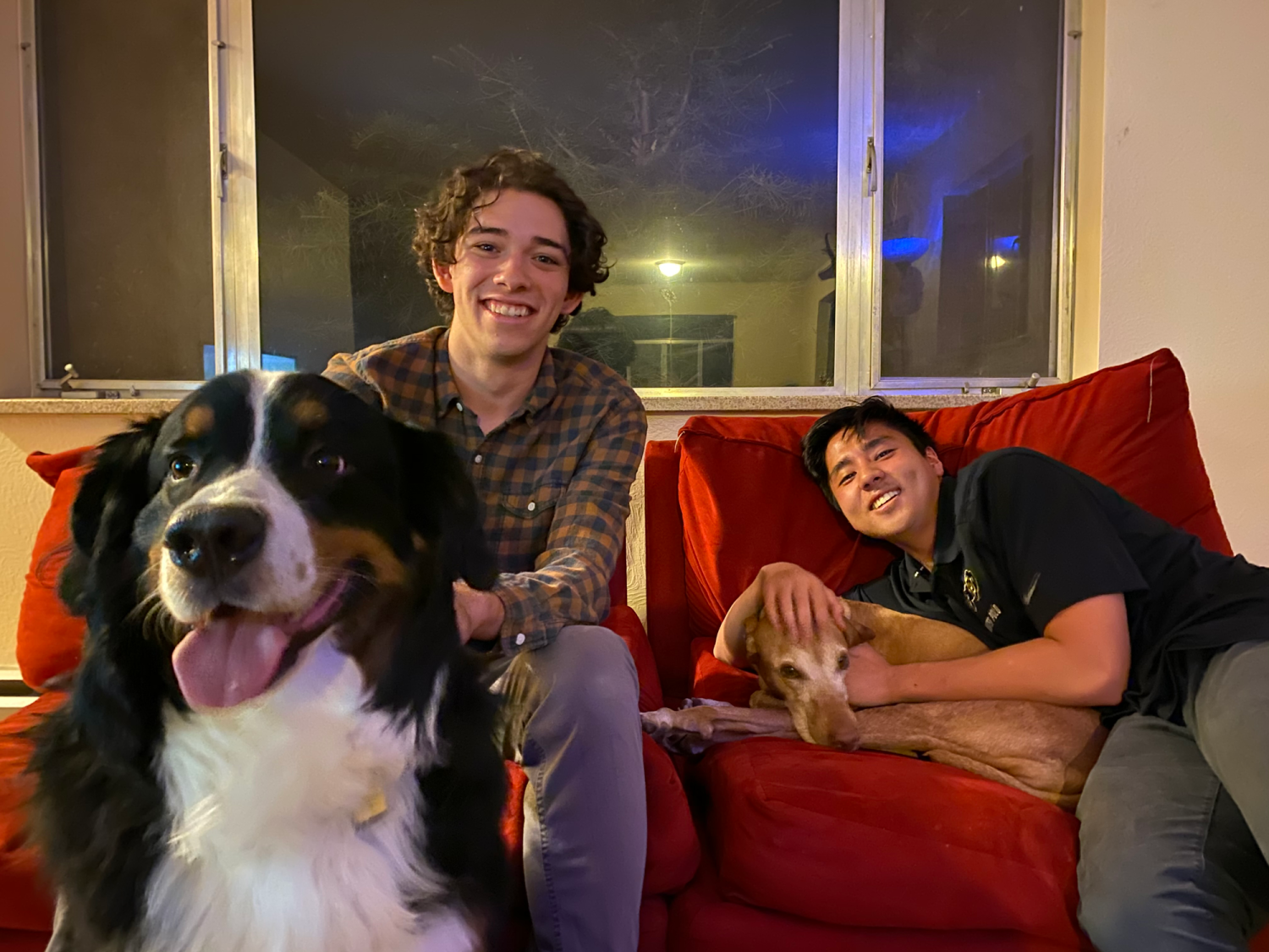 bruno geoly with dog on couch