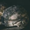 camo helmets