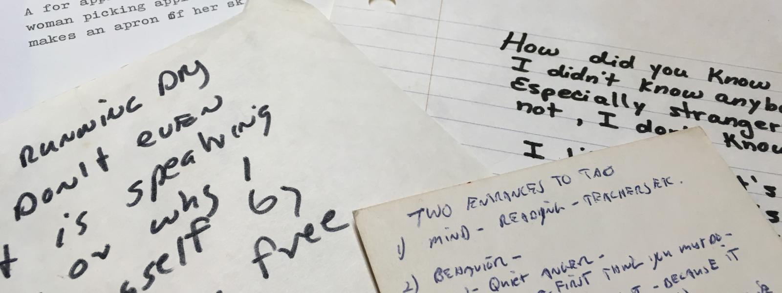 Alan Lew's Writings
