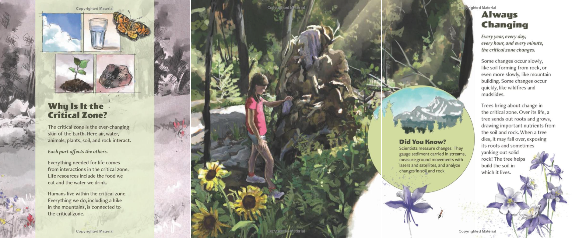 Three example pages of the Living Landscape with text about why it is the Critical Zone and how it is always changing, with illustrations of clouds, plants, insects, rocks, mountains, and a girl looking at a toppled tree 