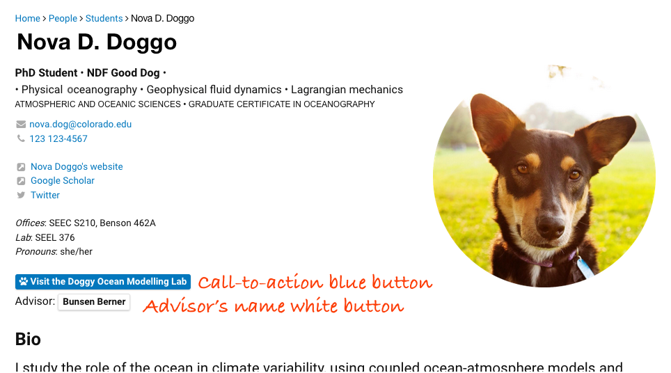 Top of person's profile webpage showing location of call-to-action blue button, advisor's name white button
