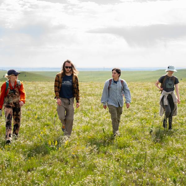 Four young people in outdoor clothing walk toward the camera in a sun-lit meadow