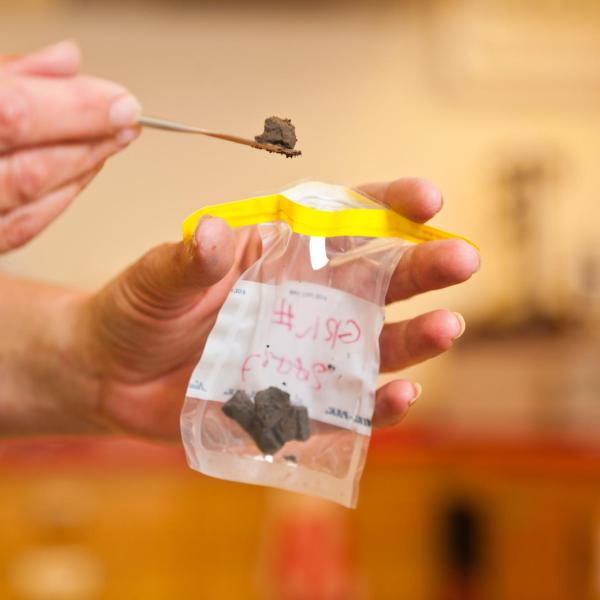 Sampling mud in the sed lab