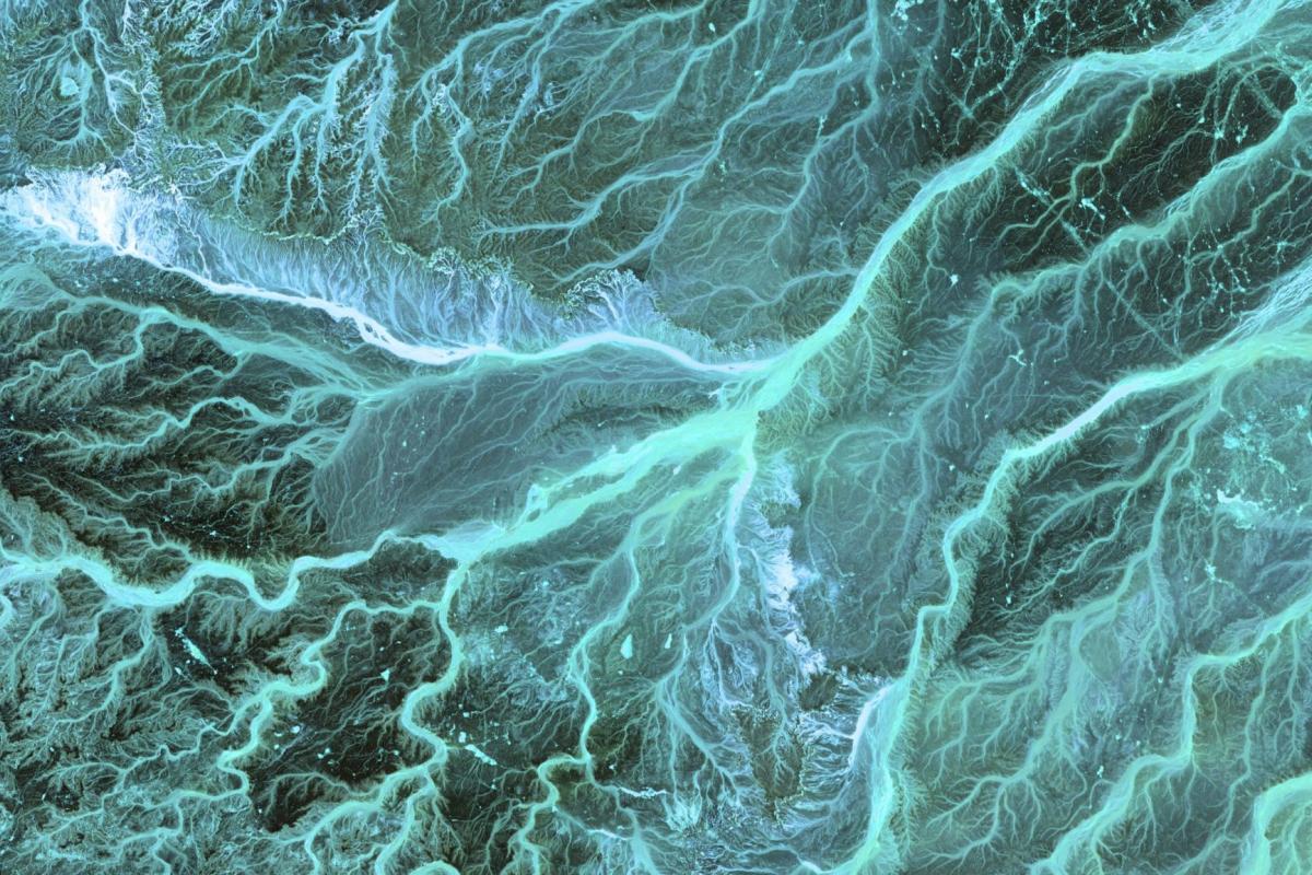 Overhead view of a detailed riverine network