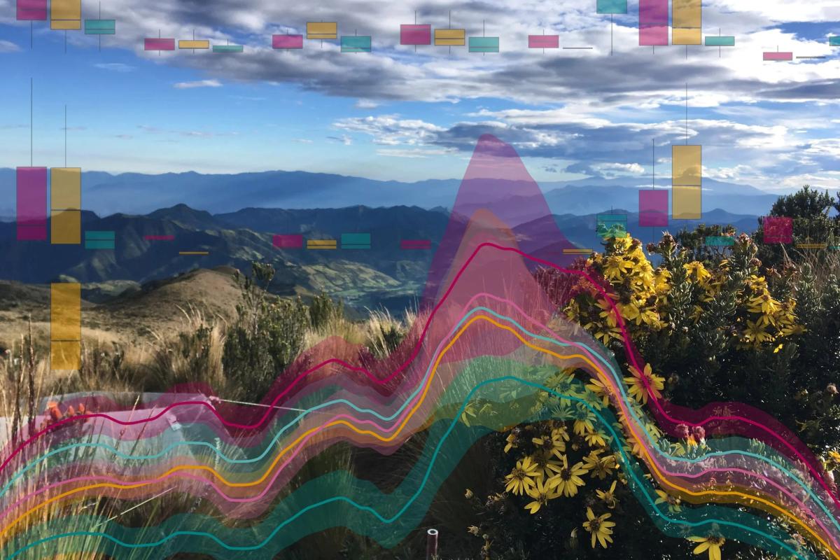Range-Shift Simulations Indicate Early Signs of Plant Community Change: Nyika&rsquo;s Poster at GREEBS 2025