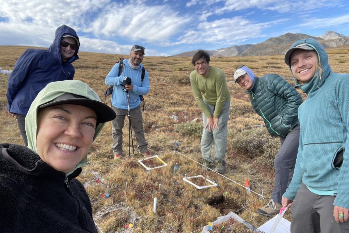 A group of scientists gather around a turf transplant experiment on the tundra of Niwot Ridge, Colorado. Credit: Daniela Cusack