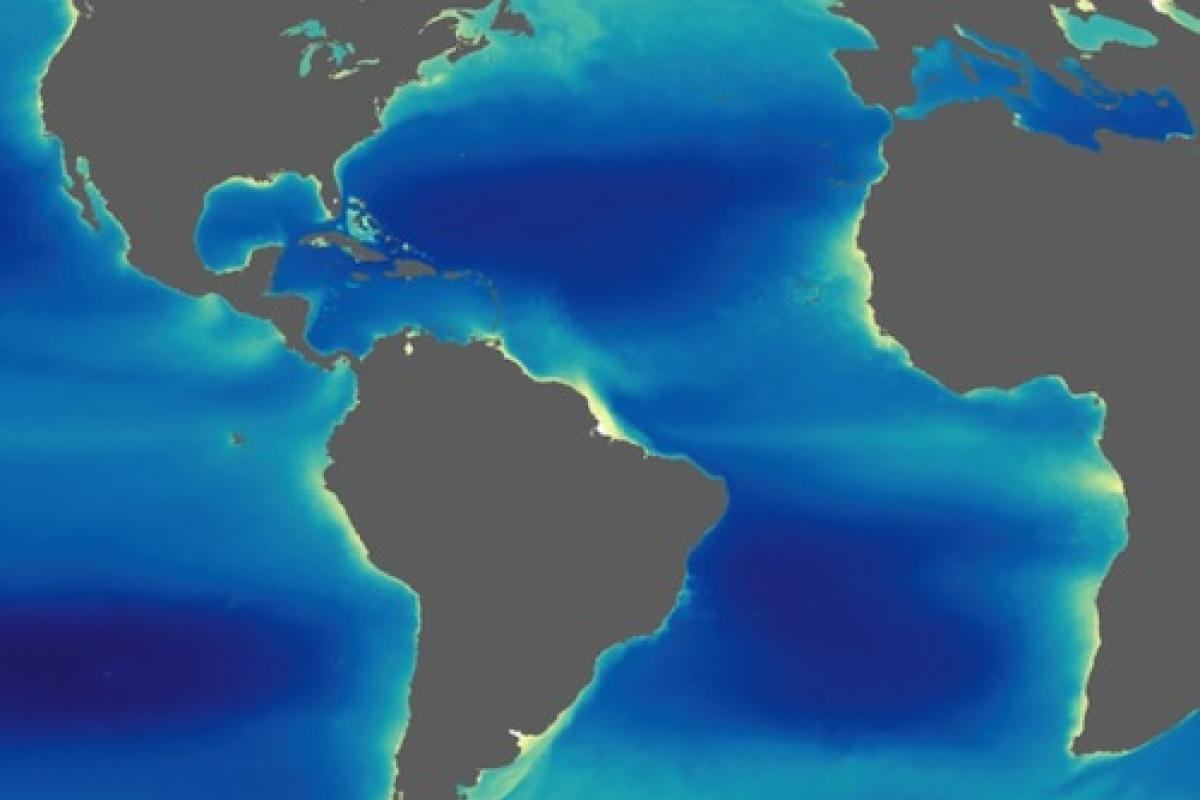 Colored map of chlorophyll in the global ocean