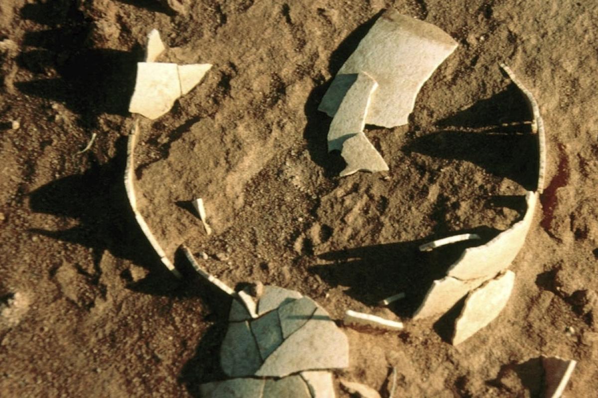 Ancient bird eggshell embedded in sand