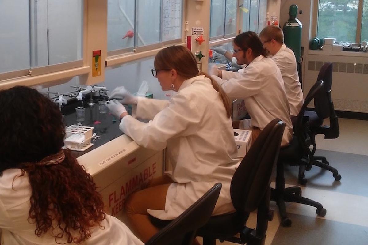 Multiple researchers in white lab coats sit and work under adjacent fume hoods