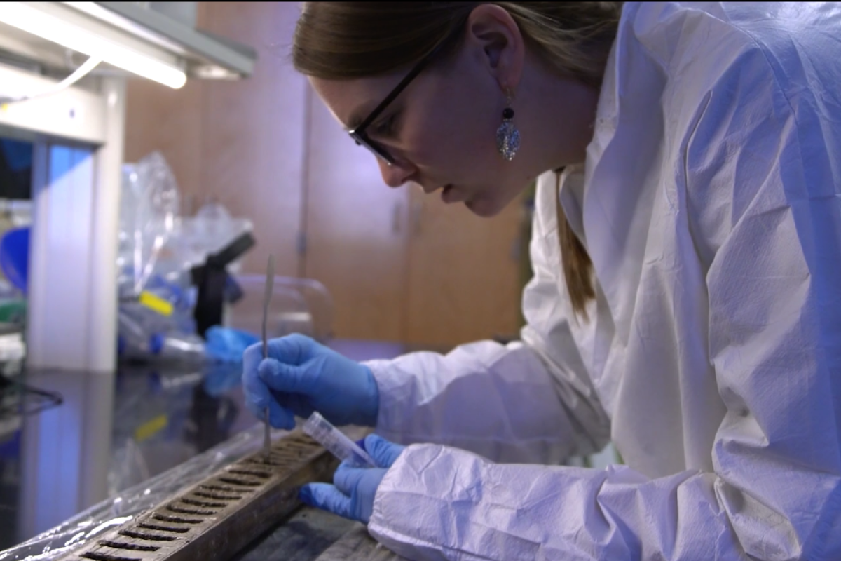 Sarah Crump, wearing a lab coat and blue rubber gloves, samples a split sediment core