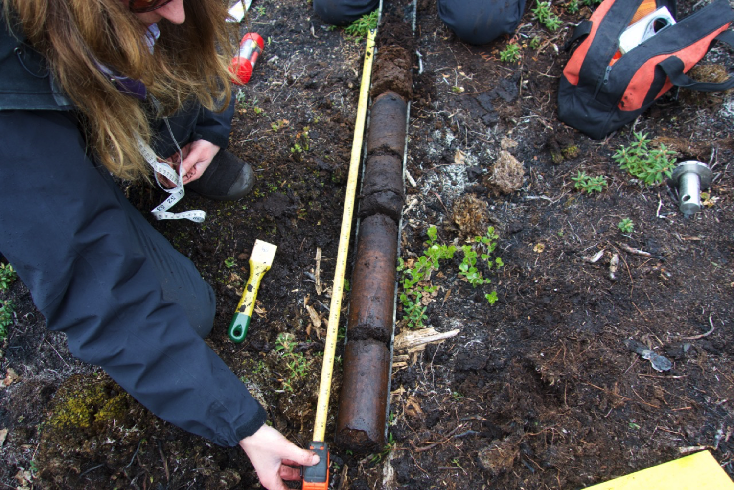 As part of research on Arctic wildfires, Merritt Turetsky inspects a long soil core at a field site in the Northwest Territories, Canada.