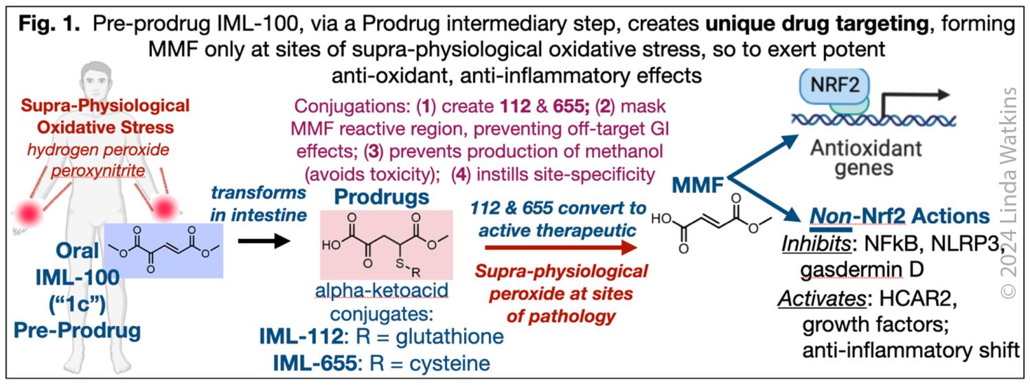 Very complicated and difficult-to-read figure with text and imagery showing many steps of drugs targeting of oxidative stress of rheumatoid arthritis (Linda Watkins).