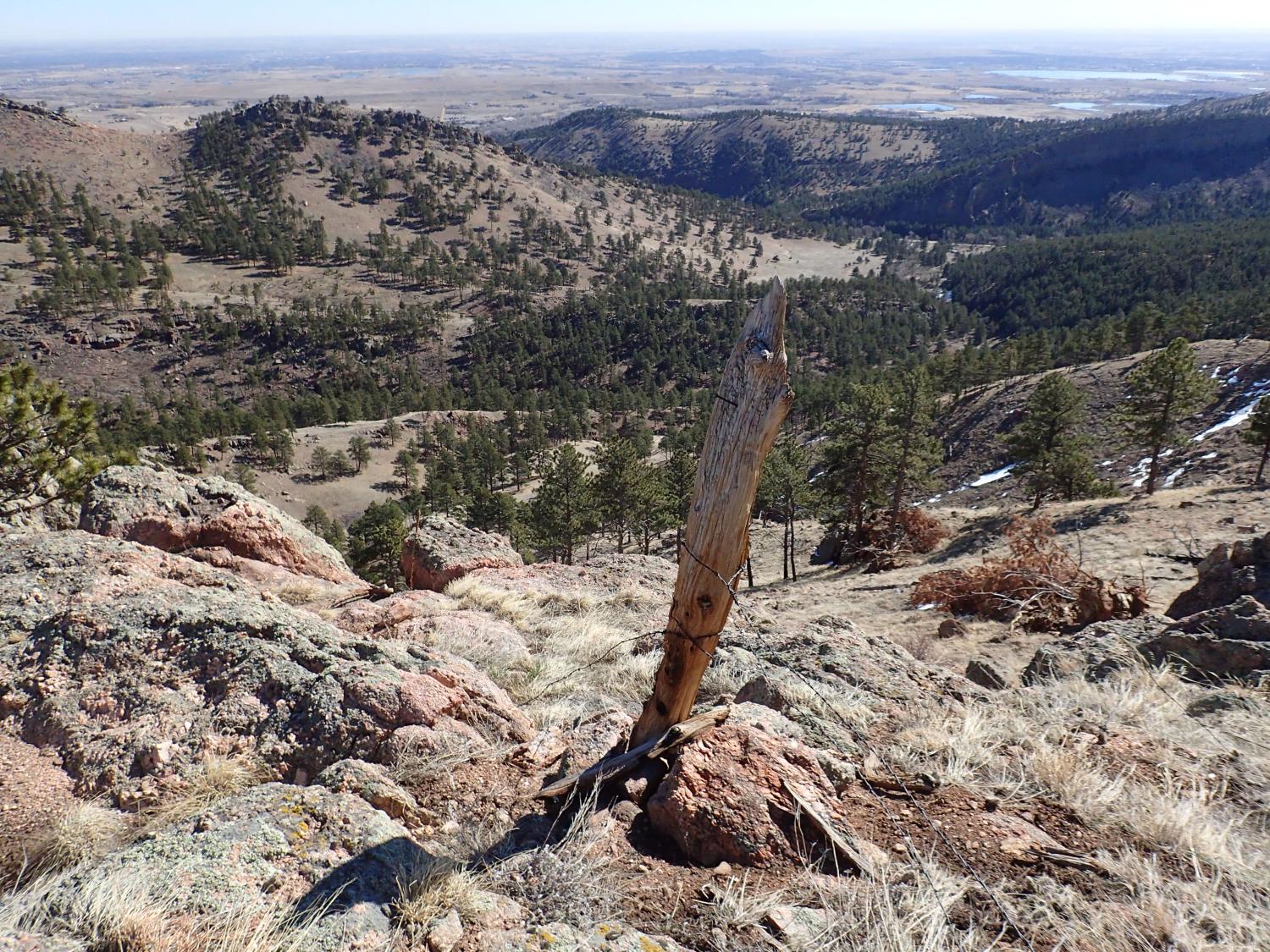 A view of Spruce Gulch from atop one of its lightly treed hills and looking east down the valley and out onto the plains