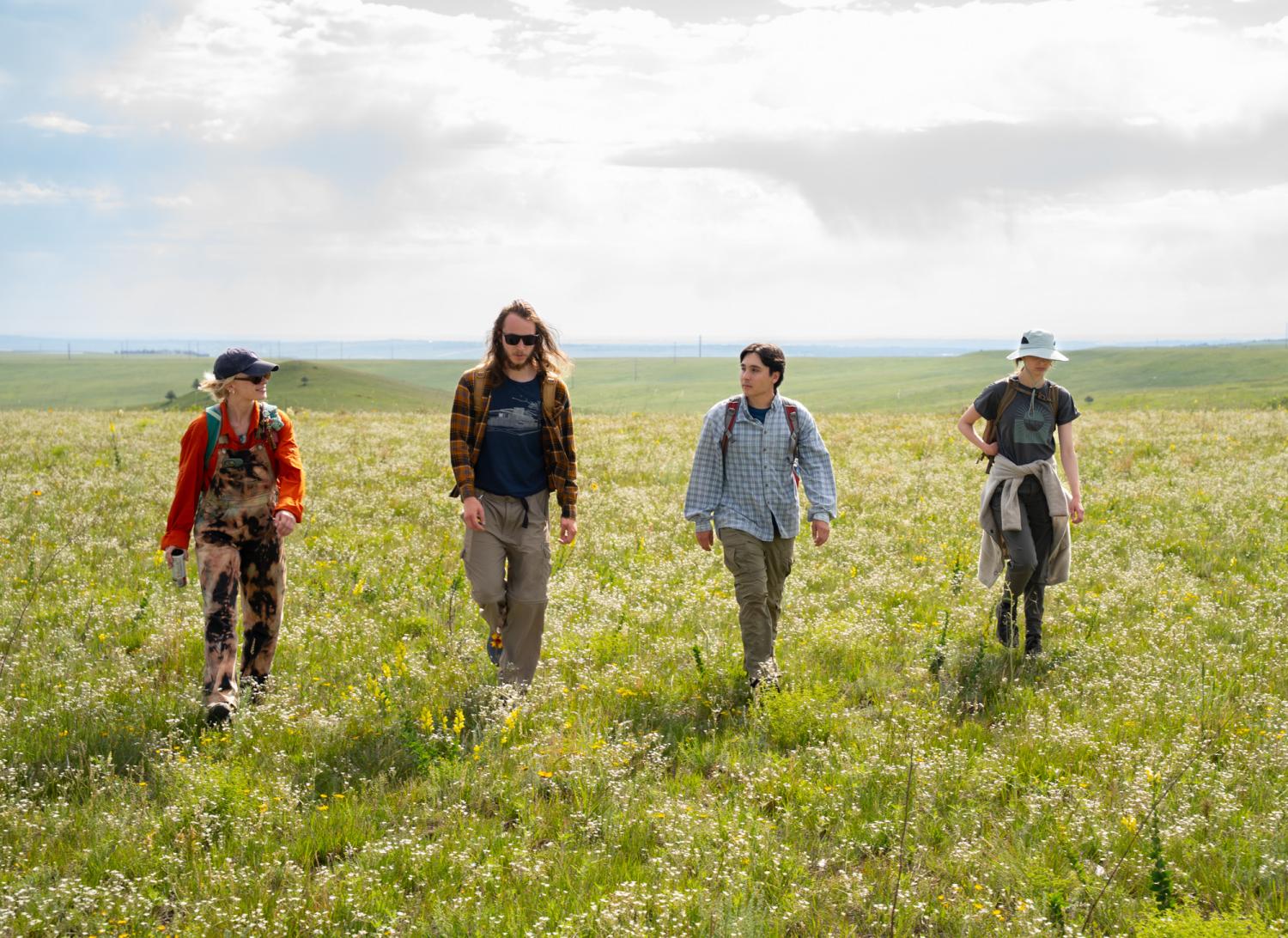 Four young people in outdoor clothing walk toward the camera in a sun-lit meadow