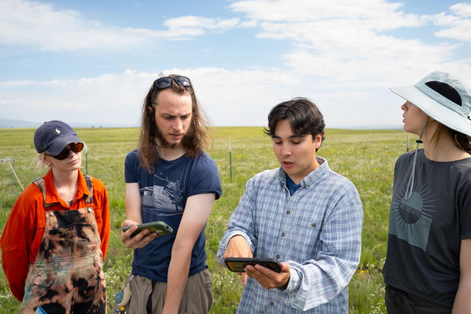Four young people in outdoor clothing look at a phone amidst a sun-lit meadow