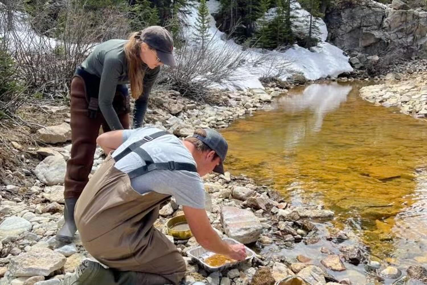 A young man and woman in waders stoop over a metal tray by the side of an orange-tinted creek