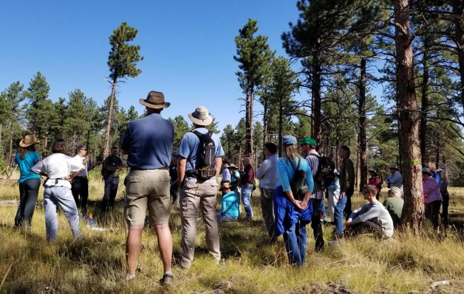 Residents gather in a community workshop hosted by the Center for Sustainable Landscapes and Communities (CSLC) at CU Boulder.