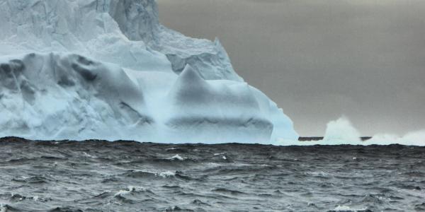 An iceberg in the Southern Ocean. Photo by Cara Nissen.