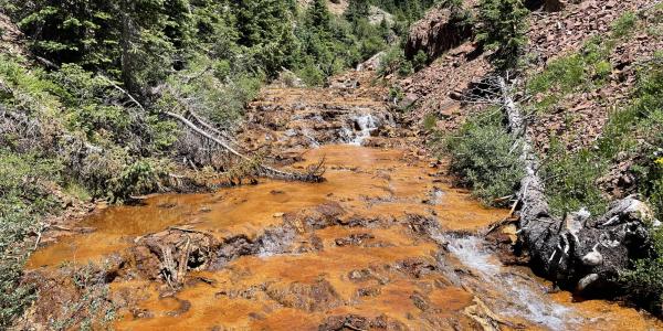 A stream with rusty orange streambed, centered in steep slopes with scree and evergreen trees, with a mountain in the background.