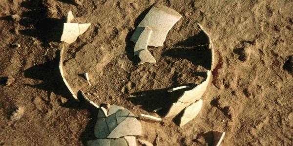 Ancient bird eggshell embedded in sand
