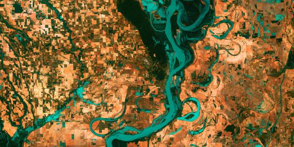 Satellite view of the graceful swirls and whorls of the Mississippi River