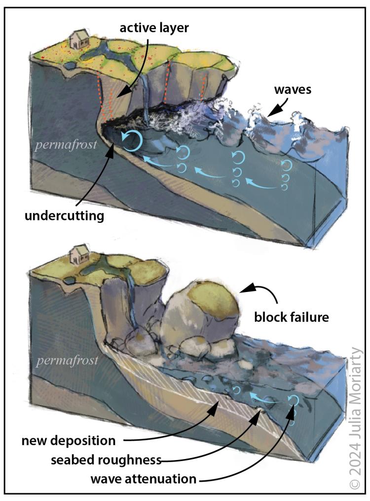 Two three dimensional illustrations showing how waves undercut permafrost shorelines and cause blocks of shoreline to break off. In turn, the blocks alter the seabed roughness and attenuate waves (Julia Moriarty).