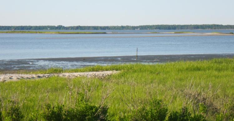 York River estuary, a tributary to the Chesapeake Bay.