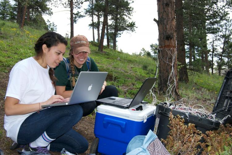 J. Romero and R. Feist (Colorado School of Mines graduate student) record data from their "geophysics tree."