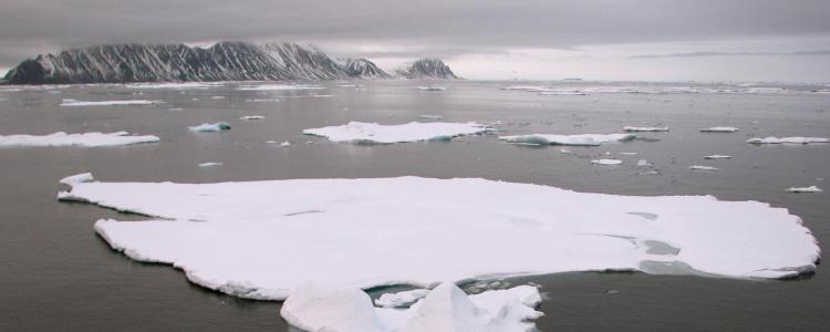 View of white sea ice floes on a dark sea on a cloudy day and a jagged coastline in the distance. Northern Baffin Bay, Canada