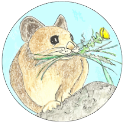 Icon for Niwot Ridge LTER
