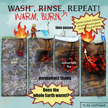 Illustration of how a surface fire that extinguishes can persist as a subsurface fire and release carbon 