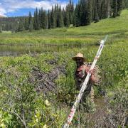 Randall Duncan on a research site near Crested Butte, Colorado, investigating how beavers influence hydrology. Photo by Katharine Lininger.