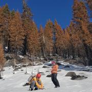   Study authors Arielle Koshkin and Ben Hatchett measure albedo in the Sierra Nevada foothills. Photo by Anne Heggli/DRI.