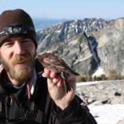 Lead author Erik Funk with a rosy-finch.