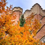 CU Boulder campus building with fall tree colors