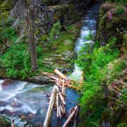 Whitewater on a mountain stream 