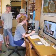 Students learn from each other while working at microscope station 