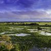 Pantanal Mato Grosso Brasil