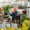 Katharine Suding (second from right, blue jacket) and colleagues work in a greenhouse. (Photo: Matt Tallarico)