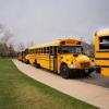 School buses parked along a curb next to a green lawn on a cloudy day