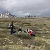 Researchers in outdoor gear gather around a willow shrub on a flat alpine ridge with craggy, snow-speckled mountains in the background