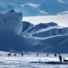 penguins loiter on sea ice formations in Antarctica