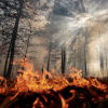 Flames burn in the foreground as smoke eddies through treetops in the background during a wildfire in the Irkutsk region of Russia.
