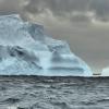 An iceberg in the Southern Ocean. Photo by Cara Nissen.