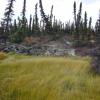 Thawing permafrost on various peatlands in Alaska