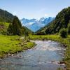 Mountain stream flows in a wide grassy valley with snowcapped peaks in background