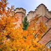 CU Boulder campus building with fall tree colors