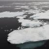 Photo of sea ice floes