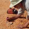 Gifford Miller collects fragments of eggshells believed to be remnants of the extinct Genyornis